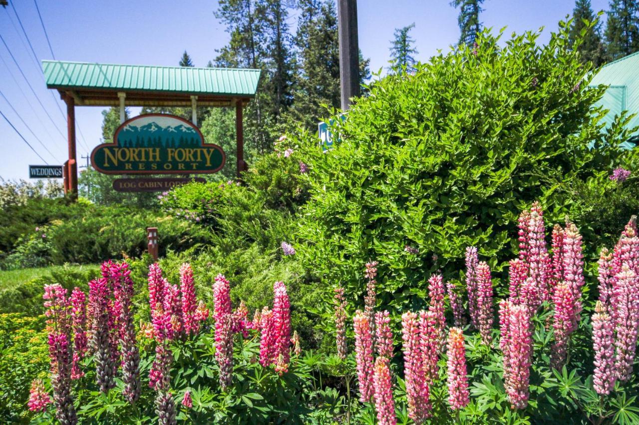 North Forty Resort Колумбія-Фоллс Екстер'єр фото